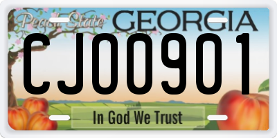 GA license plate CJO0901