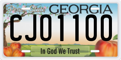 GA license plate CJO1100