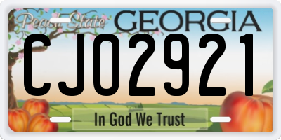 GA license plate CJO2921