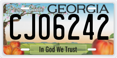 GA license plate CJO6242
