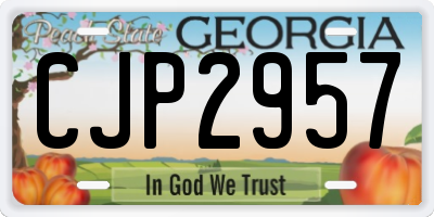 GA license plate CJP2957