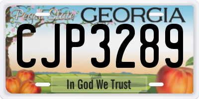 GA license plate CJP3289