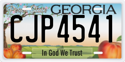 GA license plate CJP4541