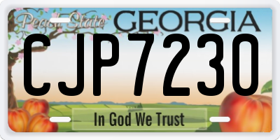 GA license plate CJP7230