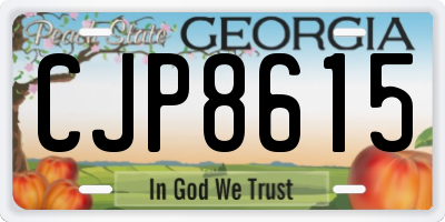 GA license plate CJP8615