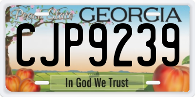 GA license plate CJP9239