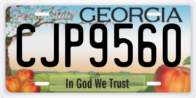 GA license plate CJP9560