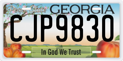 GA license plate CJP9830