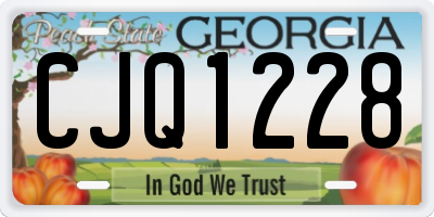 GA license plate CJQ1228