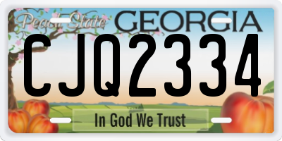 GA license plate CJQ2334