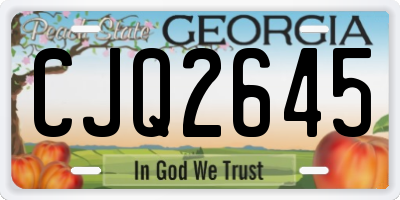 GA license plate CJQ2645