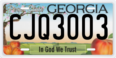 GA license plate CJQ3003
