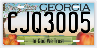 GA license plate CJQ3005