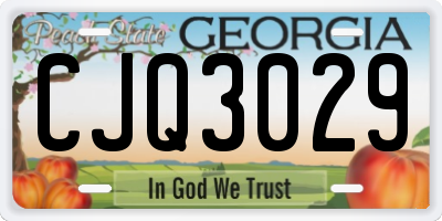 GA license plate CJQ3029