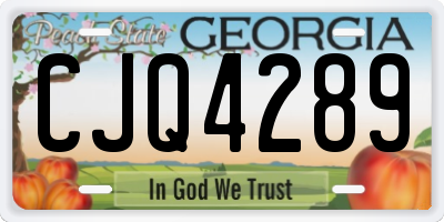 GA license plate CJQ4289