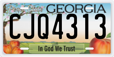 GA license plate CJQ4313