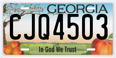 GA license plate CJQ4503