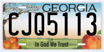 GA license plate CJQ5113