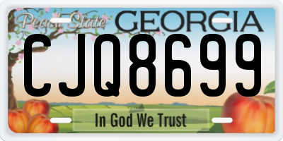 GA license plate CJQ8699
