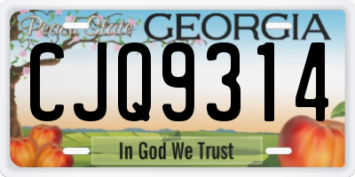 GA license plate CJQ9314