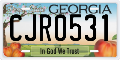 GA license plate CJR0531
