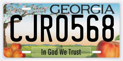GA license plate CJR0568