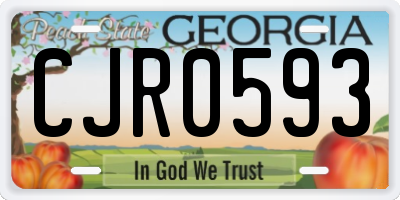 GA license plate CJR0593