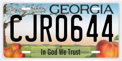 GA license plate CJR0644
