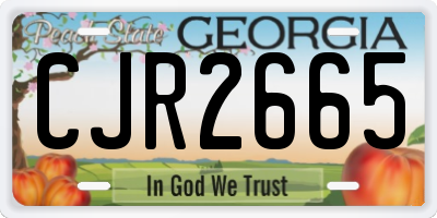 GA license plate CJR2665