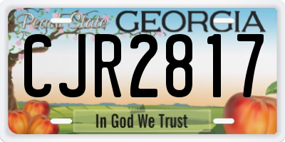 GA license plate CJR2817