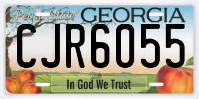 GA license plate CJR6055