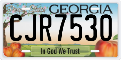 GA license plate CJR7530