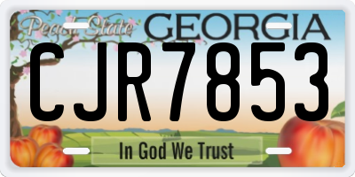 GA license plate CJR7853