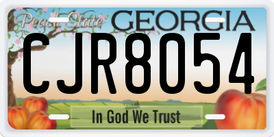 GA license plate CJR8054
