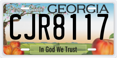 GA license plate CJR8117
