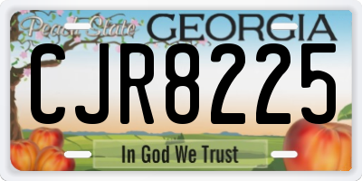 GA license plate CJR8225