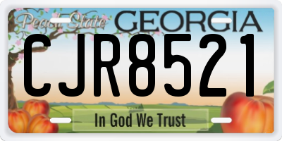 GA license plate CJR8521
