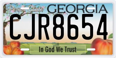 GA license plate CJR8654