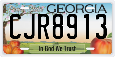 GA license plate CJR8913