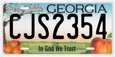 GA license plate CJS2354