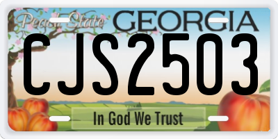 GA license plate CJS2503