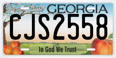 GA license plate CJS2558