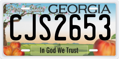 GA license plate CJS2653
