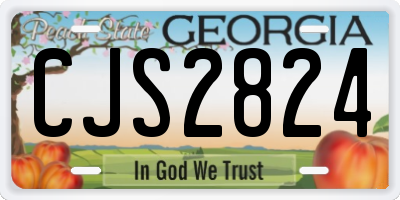 GA license plate CJS2824