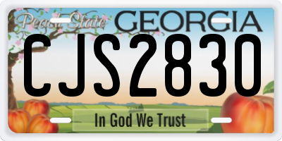 GA license plate CJS2830