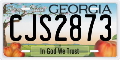 GA license plate CJS2873