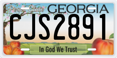 GA license plate CJS2891