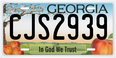 GA license plate CJS2939