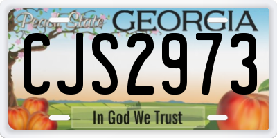 GA license plate CJS2973