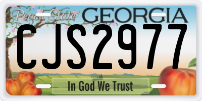 GA license plate CJS2977